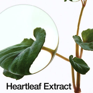 Anua Heartleaf 70% Lotion featured in a natural-themed skincare flatlay